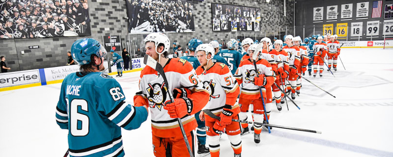 Ducks Embrace Orange County Culture With New Goal Song